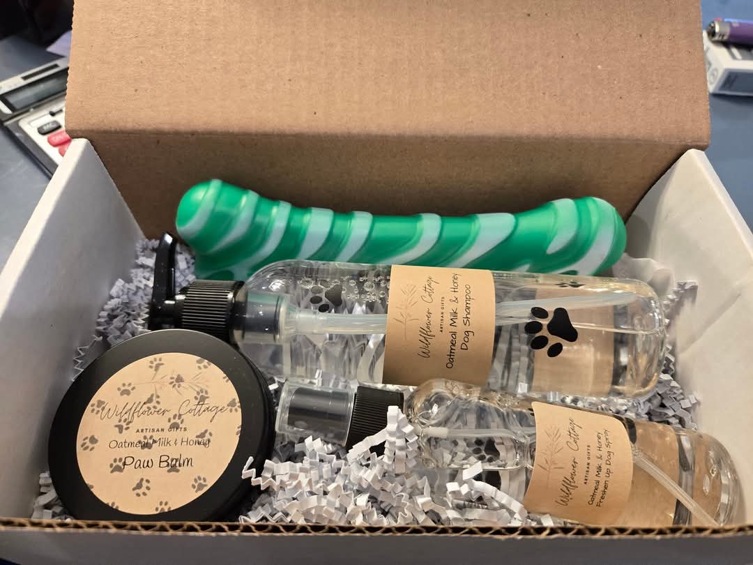 Buddy Box Bundle